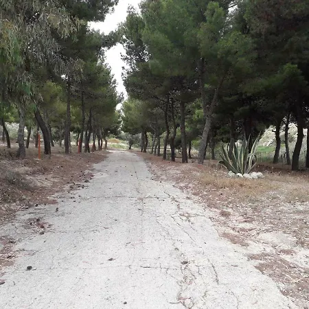 Camping La Pineta Village